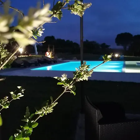 Perola D'obidos T1