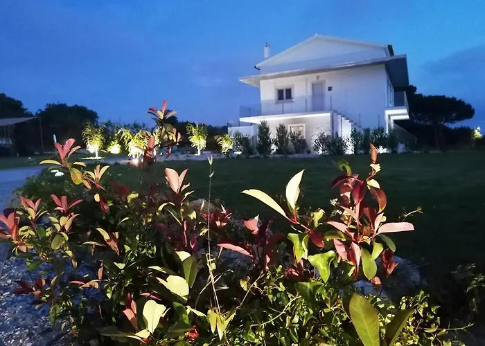 Perola D'obidos T1 Obidos